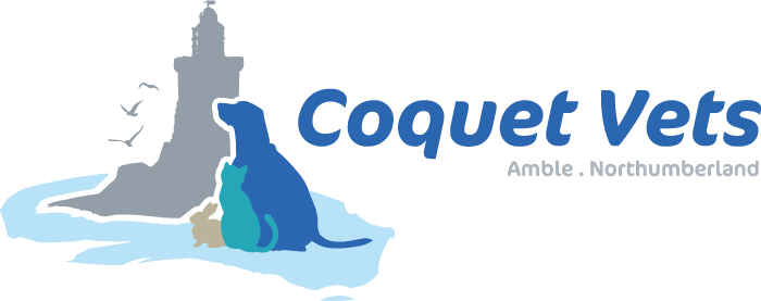 Coquet Logo